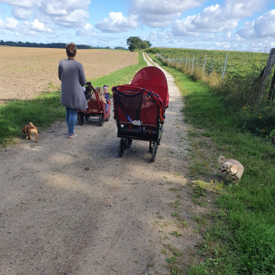 Unterwegs durchs Feld